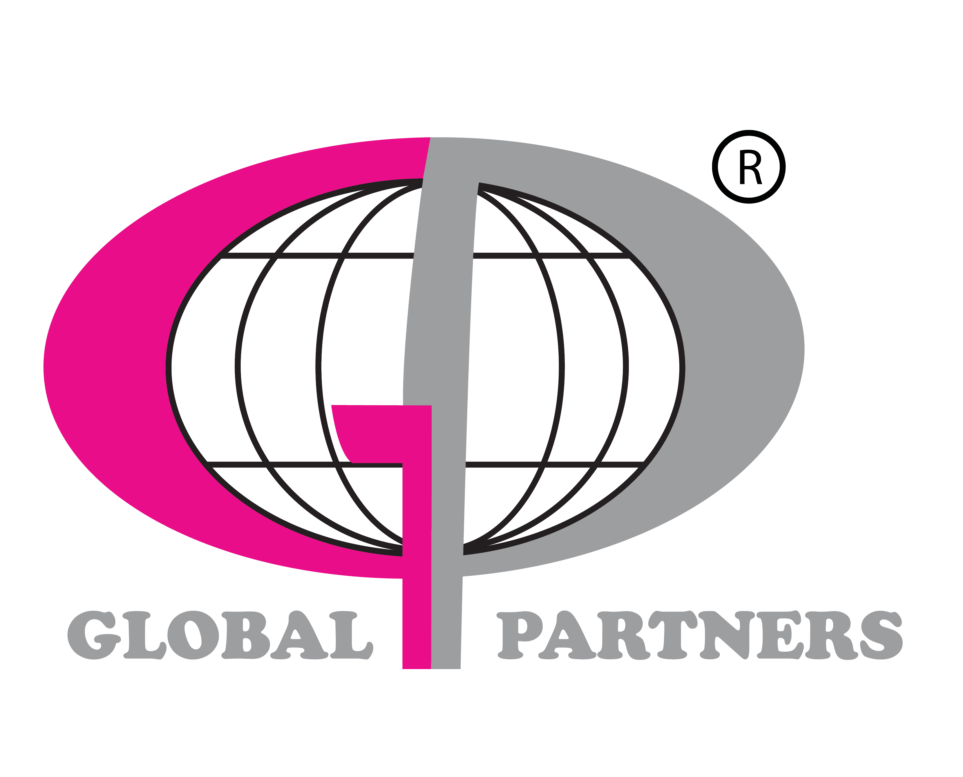 Partner Logo 7